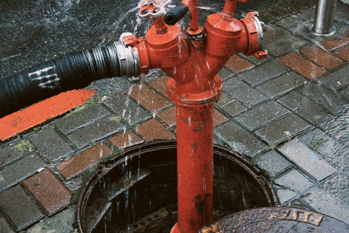 Mold Remediation service in Modesto, CA